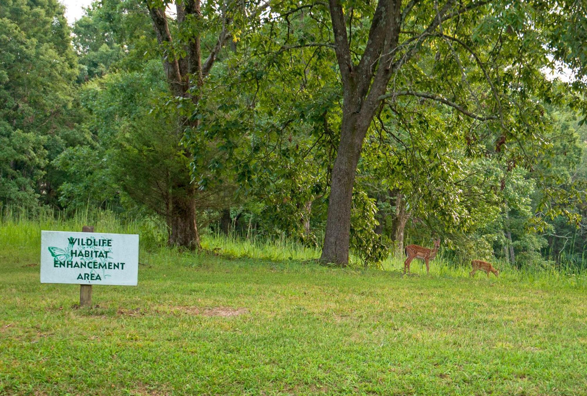 Barren River Lake State Resort Park Lucas Exterior foto